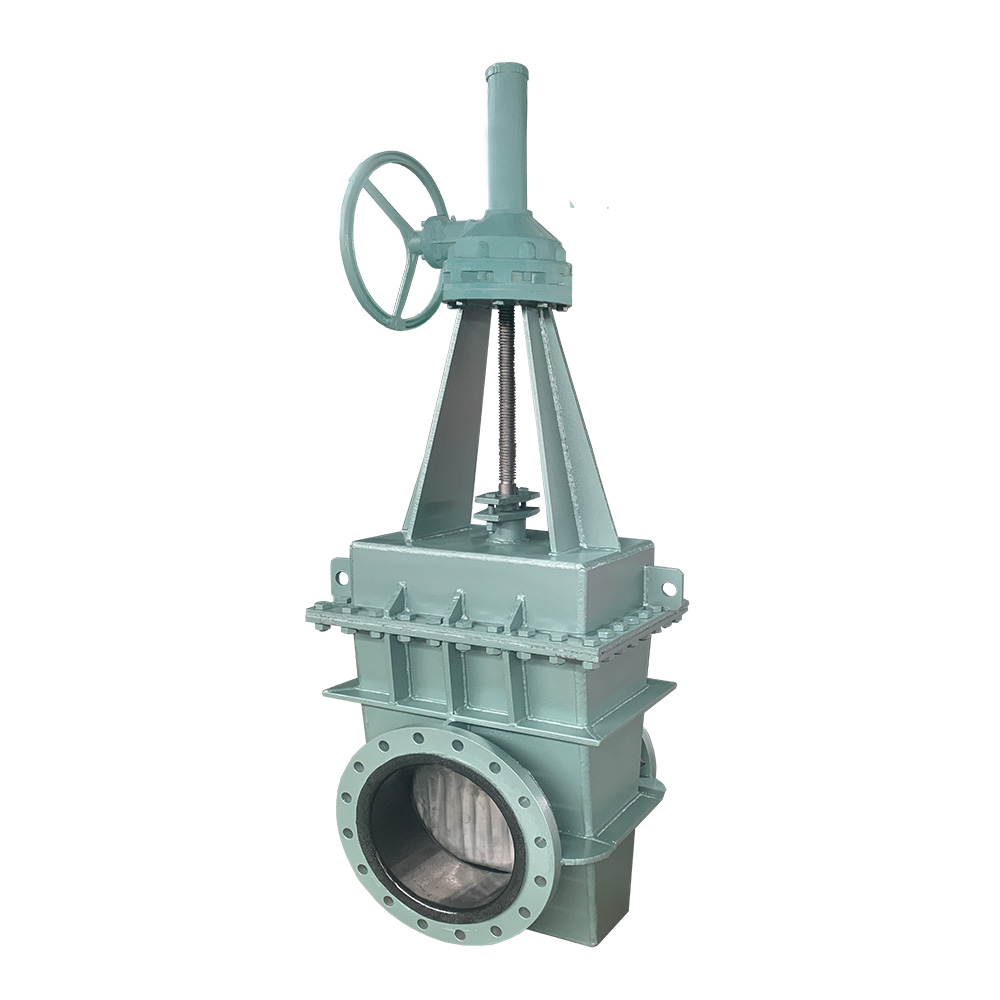 Gear Rubber-lined Check Valve