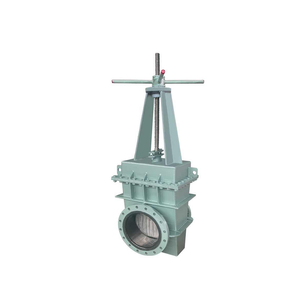 Manual rubber-lined check valve